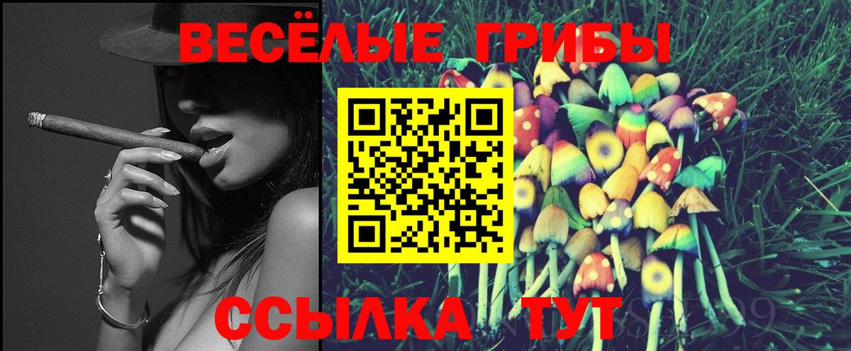 купить наркотик  Вход с VPN  Тула  Псилоцибиновые грибы Magic Shrooms  Псилоцибиновые грибы Psilocybine cubensis 