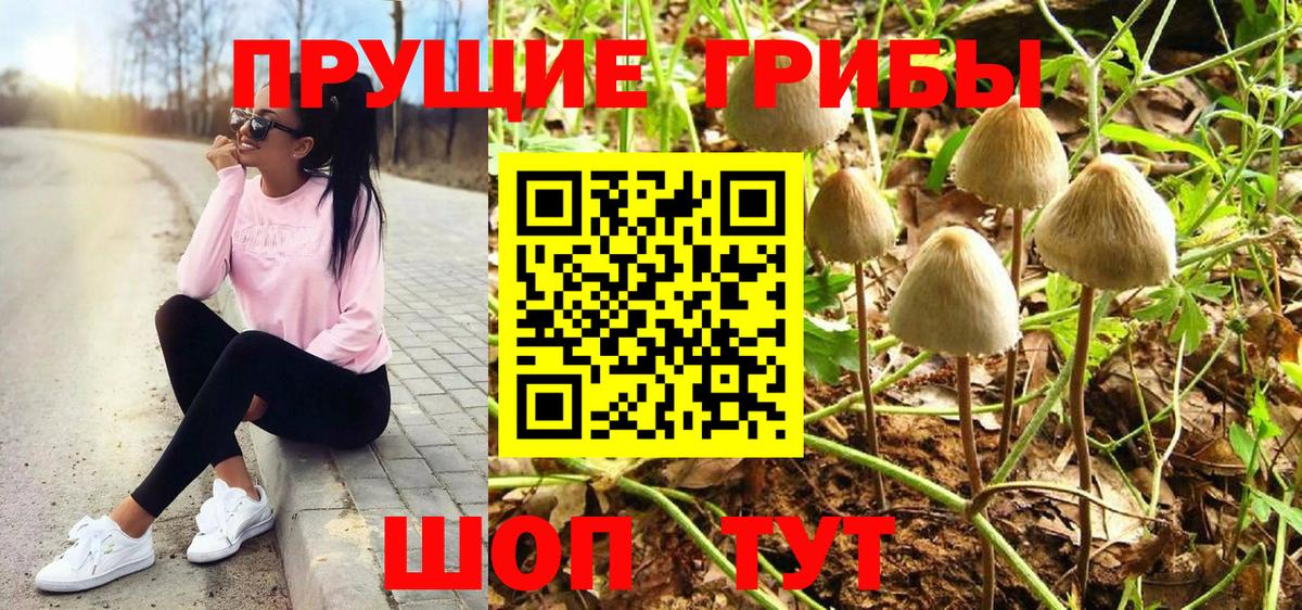 Псилоцибиновые грибы MAGIC MUSHROOMS Тула